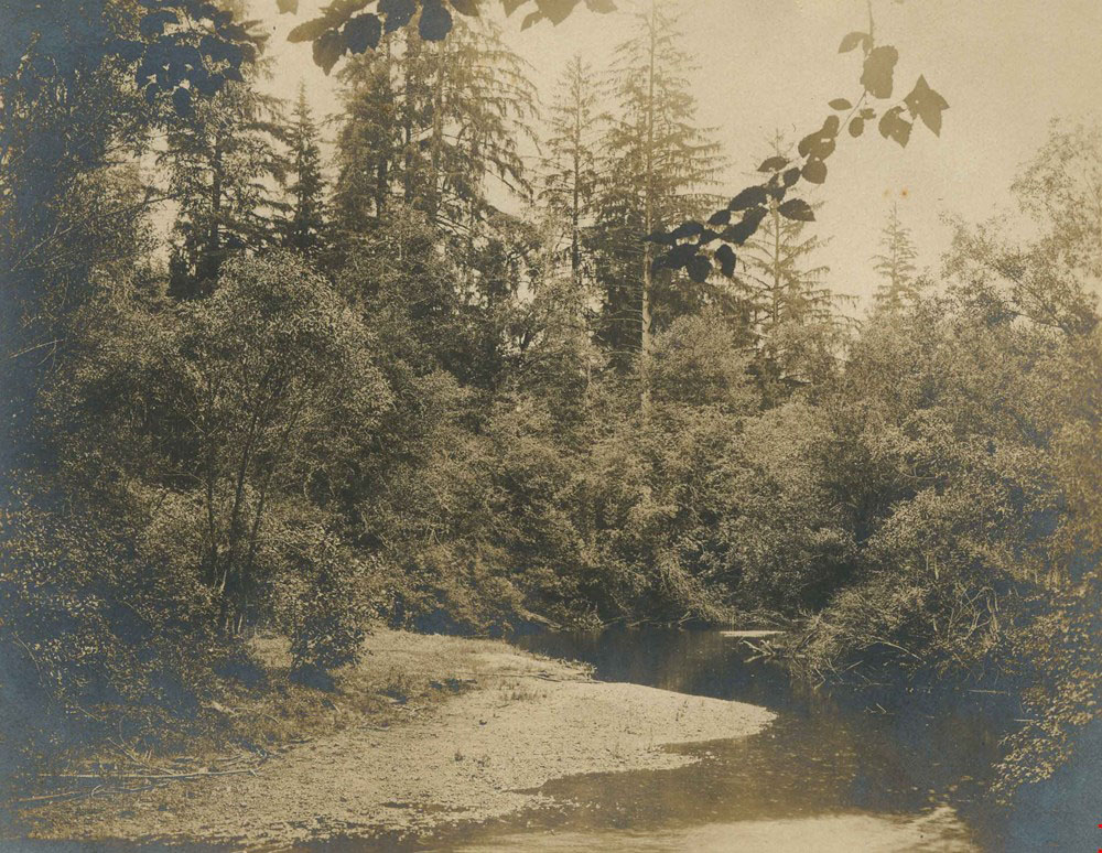 Brunette River 1907